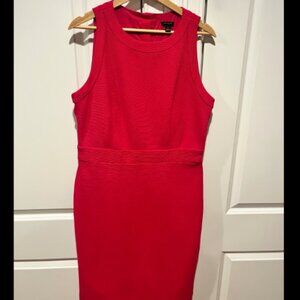 Ann Taylor - Dress (Hot Pink/ Fuschia)